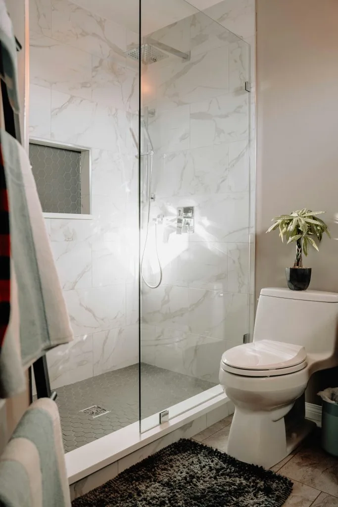 Vue d'une douche et toilette
